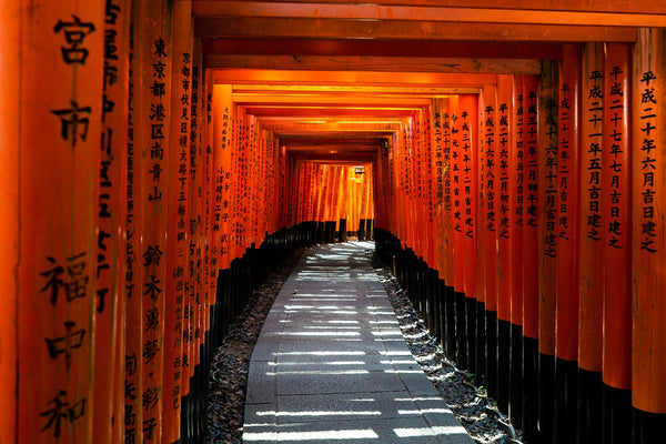 The Ultimate Kyoto Travel Guide 2026